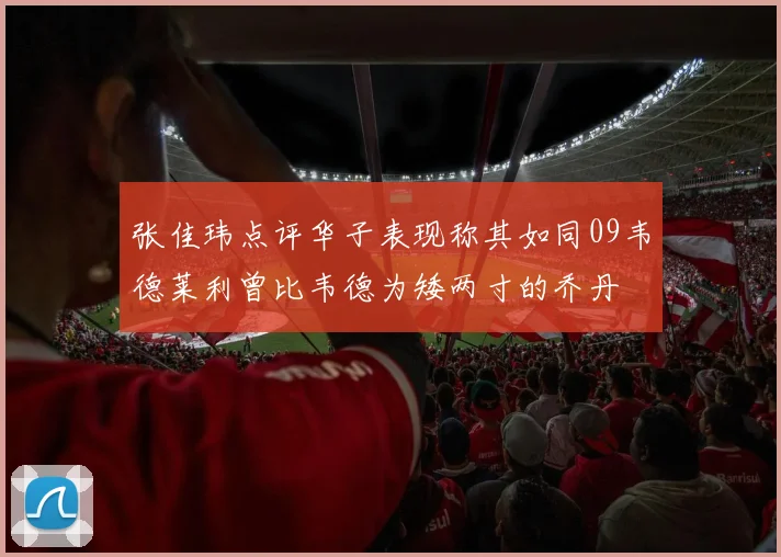 张佳玮点评华子表现称其如同09韦德莱利曾比韦德为矮两寸的乔丹